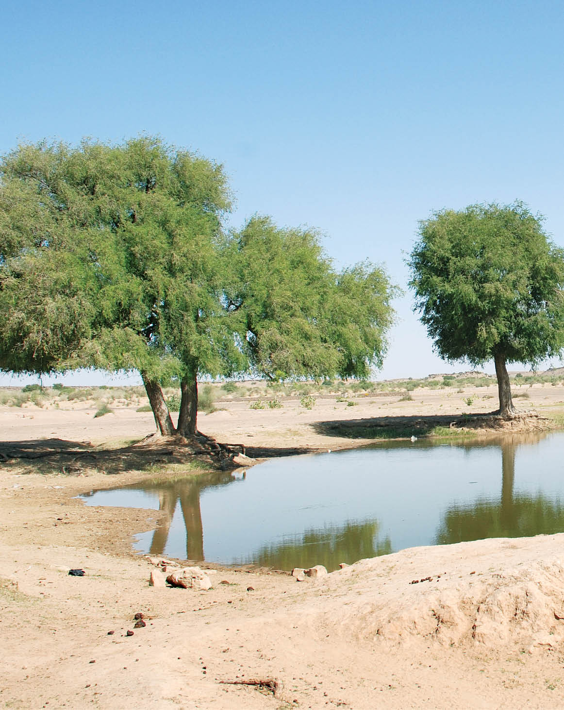 Gny Climate Resilient Development